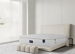 为全球用户带来愈加健康、舒服的智能睡眠糊口